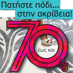 kaminas250